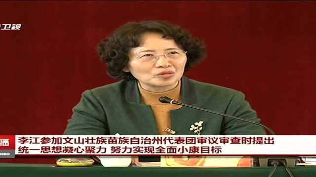 李江参加文山壮族苗族自治州代表团审议审查时提出 统一思想凝心聚力 努力实现全面小康目标