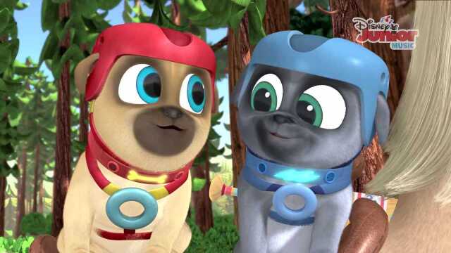 Pups on the Trail Music Video | Puppy Dog Pals | Disney Junior