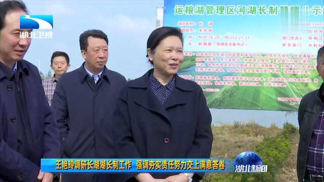 王艳玲调研长湖湖长制工作 强调夯实责任努力交上满意答卷