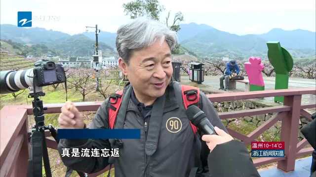 浙江:繁花似锦 大花园里春意闹