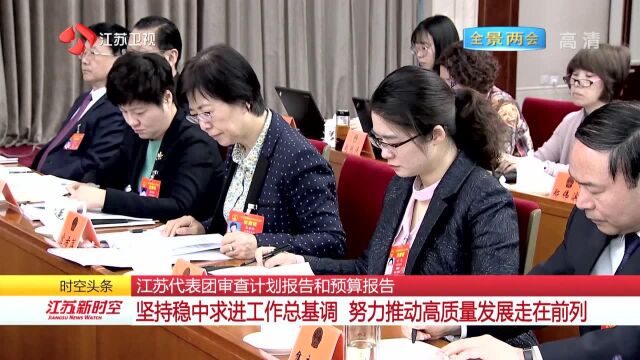 江苏代表团审查计划报告和预算报告