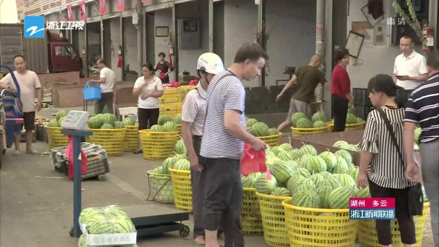 浙江:夏季水果批量上市 价格有所回落