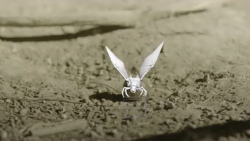 《怒海潜沙》之“幕后特效”纪录片 神秘生物诞生全过程