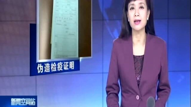 无锡:随到随办检疫证明? 你的动物托运手续不靠谱!