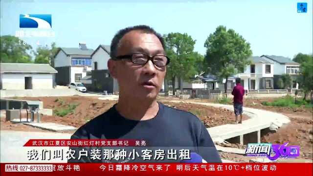 江夏打造新时代“江南水乡”推动乡村振兴