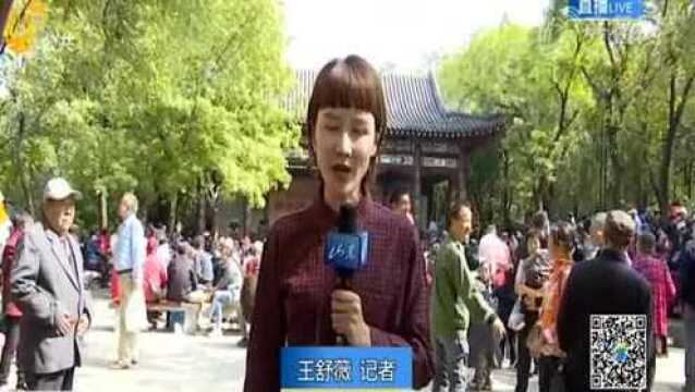 济南:逛山会 看大戏 千佛山庙会好戏连台