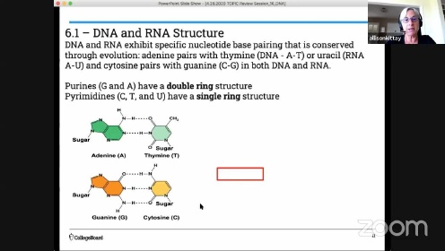 AP Biology_ DNA Structure and Replication