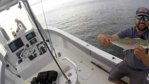 鳕鱼角钓长鳍金枪鱼和西班牙鲭鱼