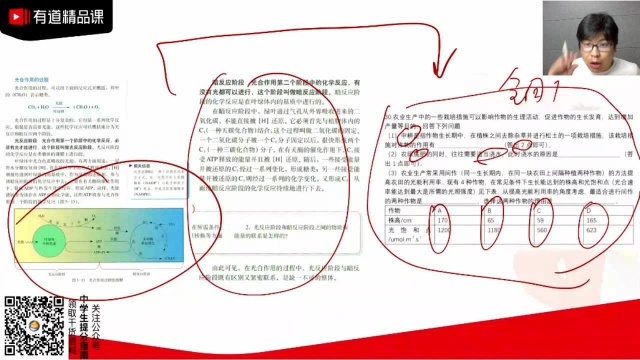 2020高考生物全国卷解析(总):整体结构分析,真题讲解