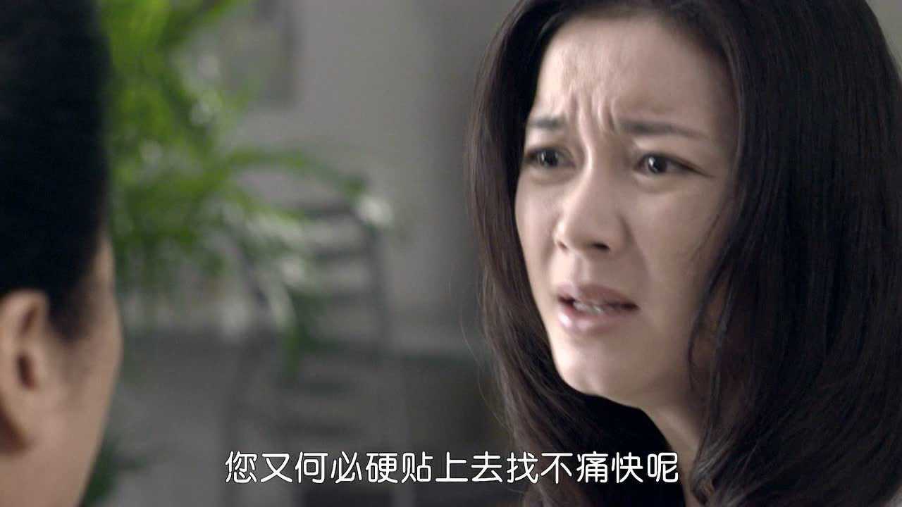 丈母娘来了 20集