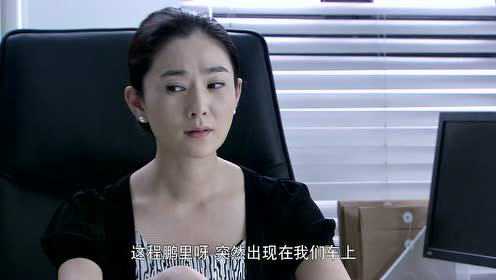 迷局之拨云见日 21集