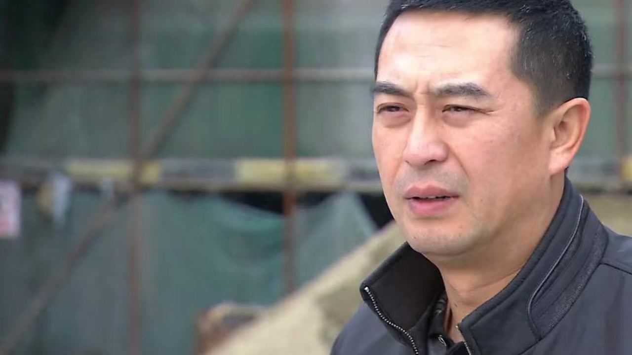 《下海》第34集01:陈志平把工地用的设备卖了,给工人们发工资_高清1080P在线观看平台_腾讯视频