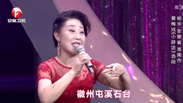 杨华生动演唱小辞店