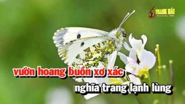 Dấu Ch㢮 Kỷ Ni㪭  Song Ca