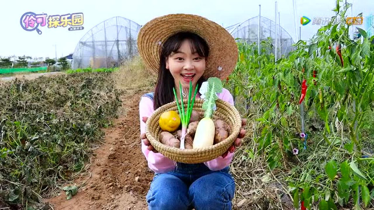 伶可探乐园 5集