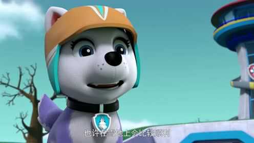 汪汪队立大功第八季[英文版] 1集