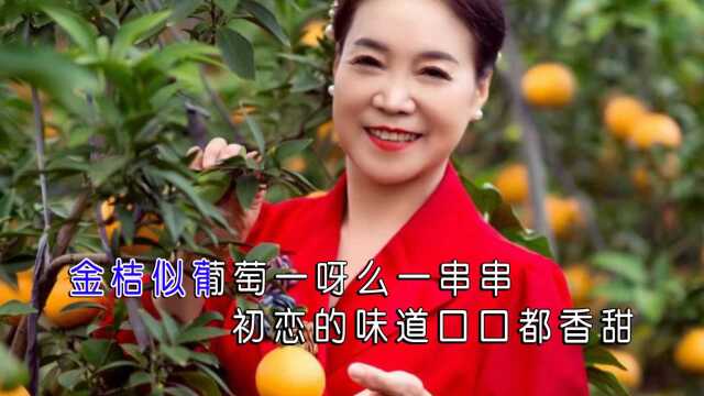 我的桔园