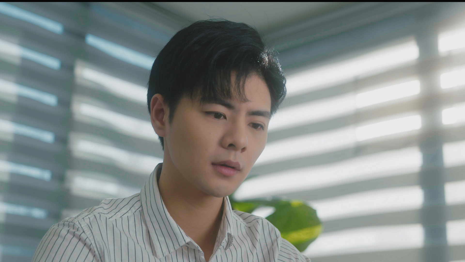 今天也要努力当只猫 14集