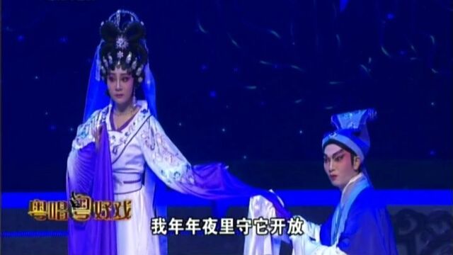 李嘉宜 花样年华十载缘粤剧艺术专场