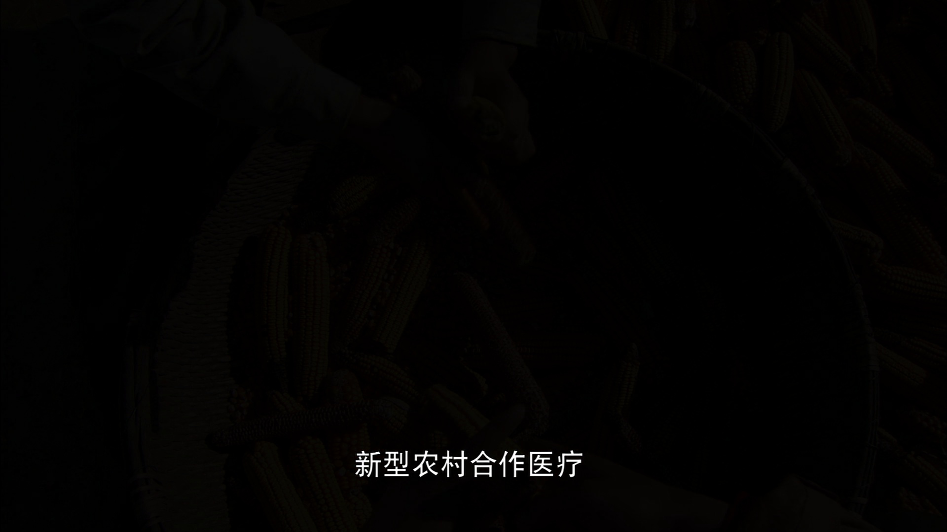 生死依托 20集