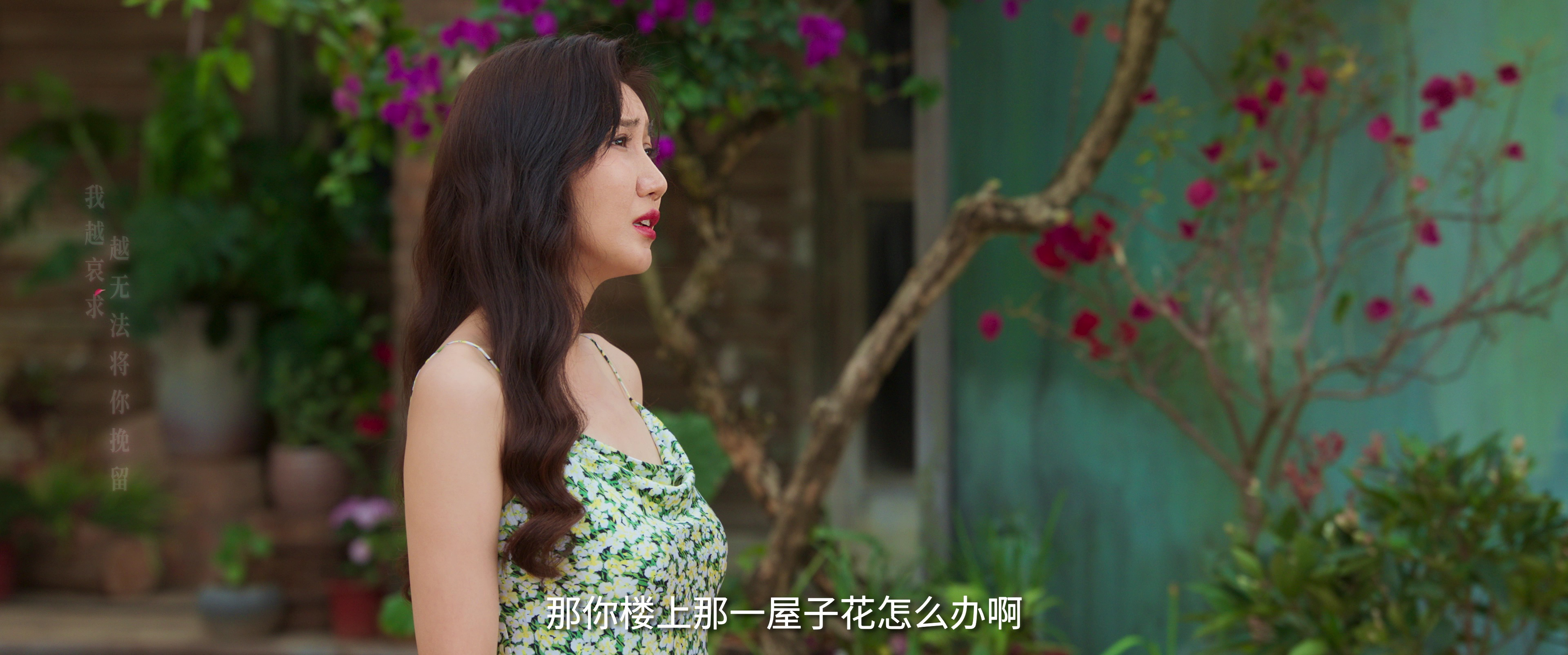 夏花 10集