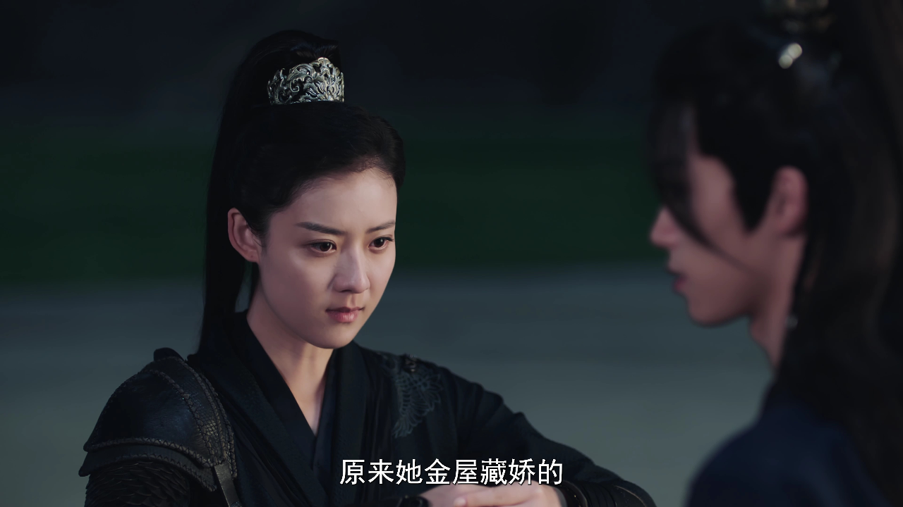将军在下 7集