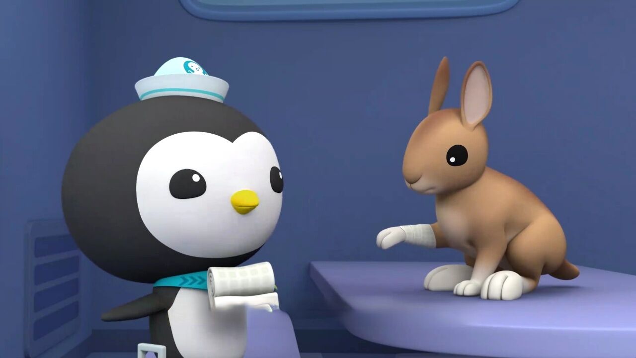 白靴兔想跟雪地融为一体