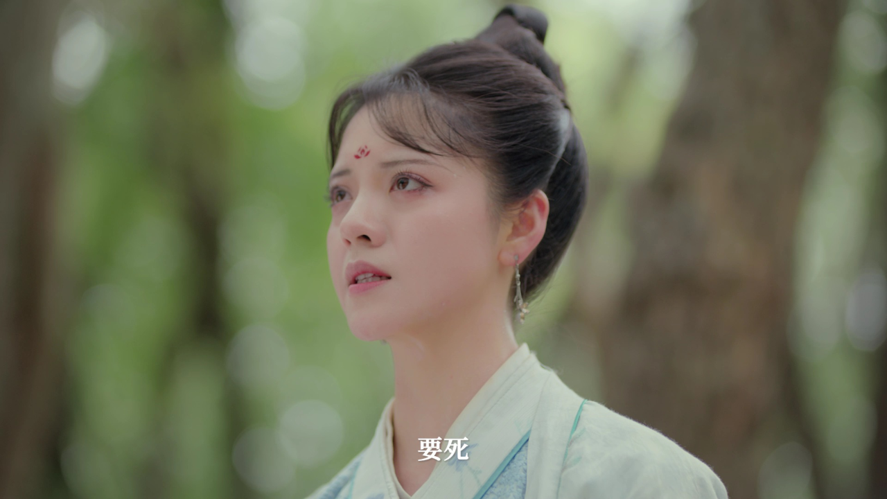 进击的王妃 19集
