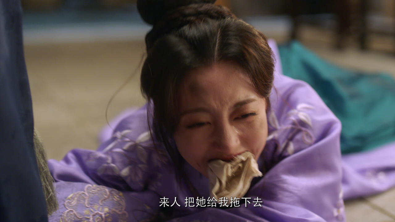进阶的主母 20集