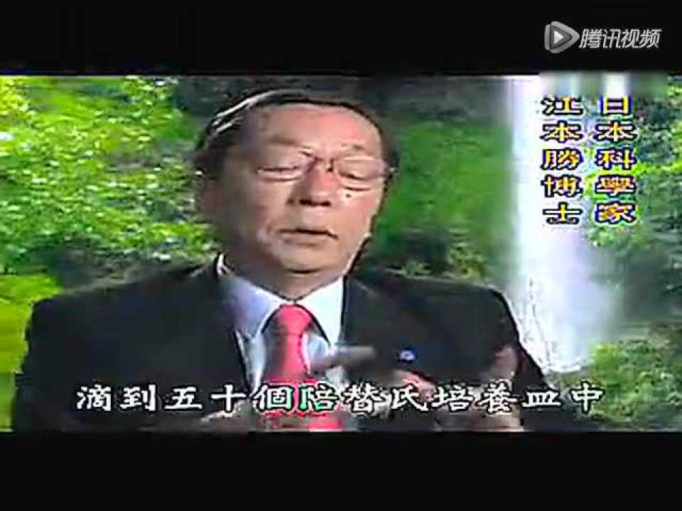 水知道答案-最完整版-科学实验标清_标清_高清