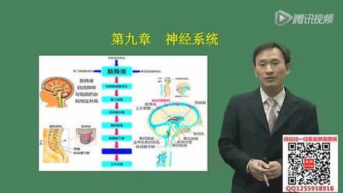 2021年医疗卫生红领名师班医学基础知识解剖学6