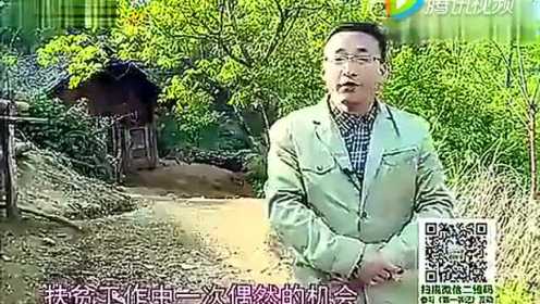 广西卫视第一书记 杨六斤