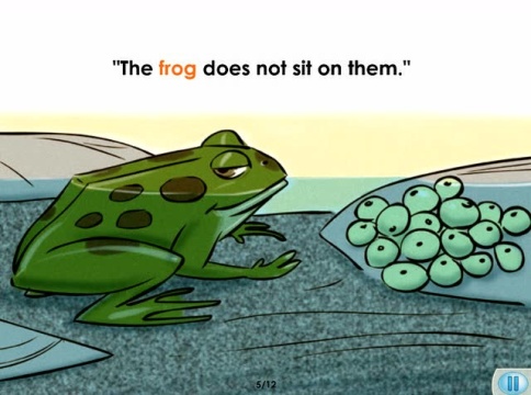 美国想象力英语阅读起步第十三课frogseggs