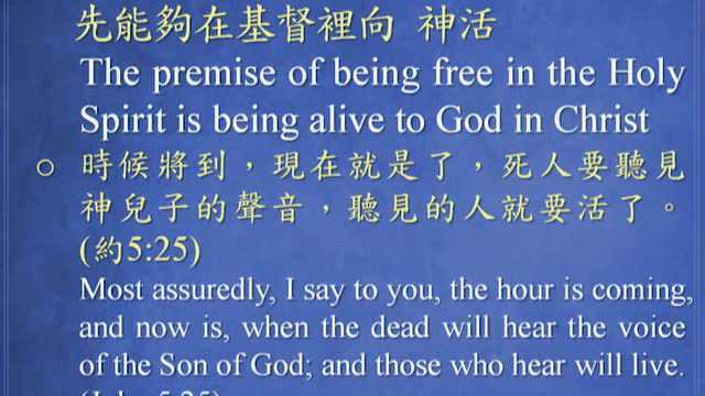 主的灵在哪里,哪里就得以自由