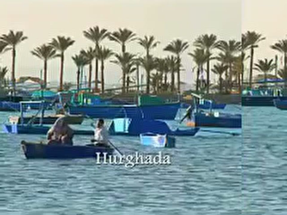 高清1080P在线观看平台_腾讯视频