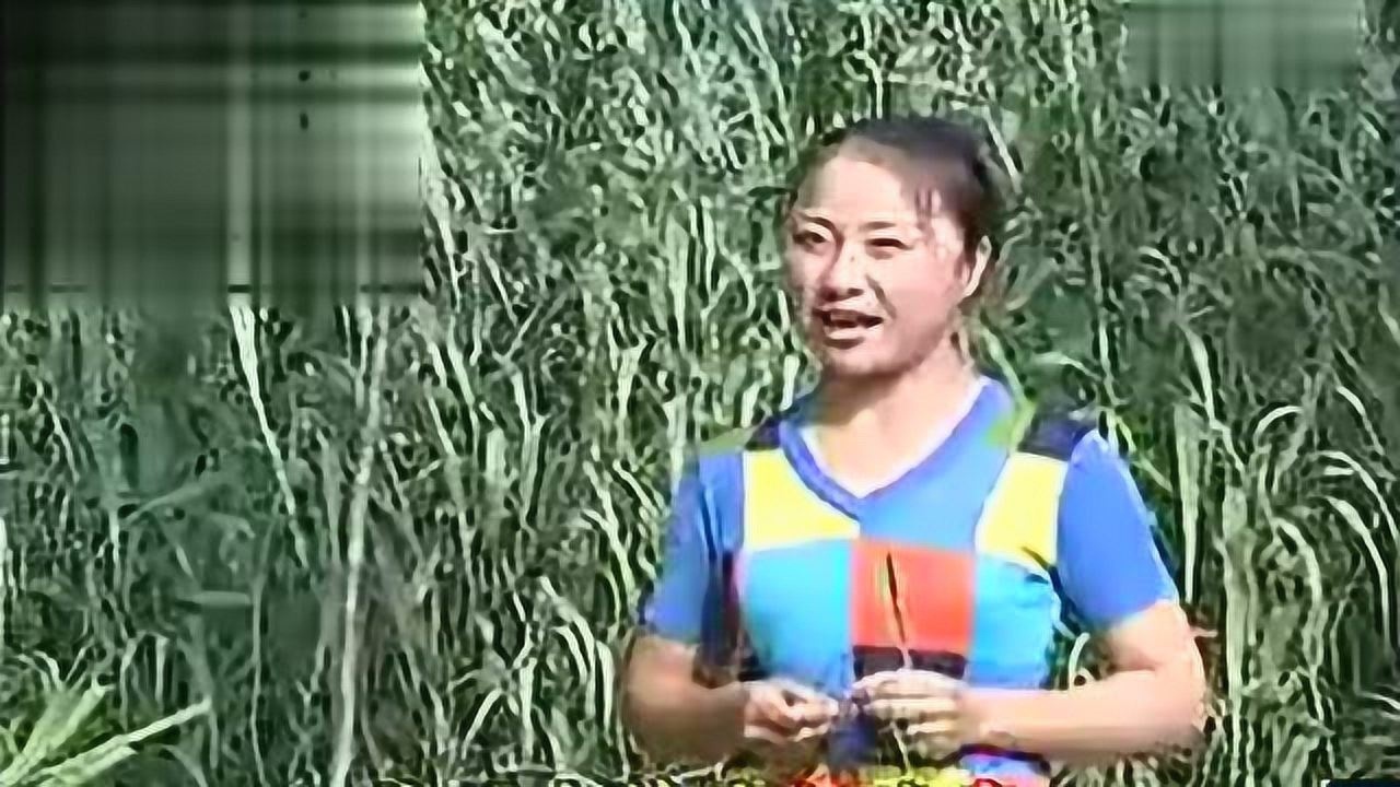 高清1080P在线观看平台_腾讯视频