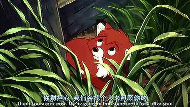 狐狸与猎狗片段1_腾讯视频