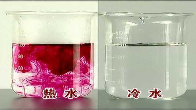 品红的扩散(人教)