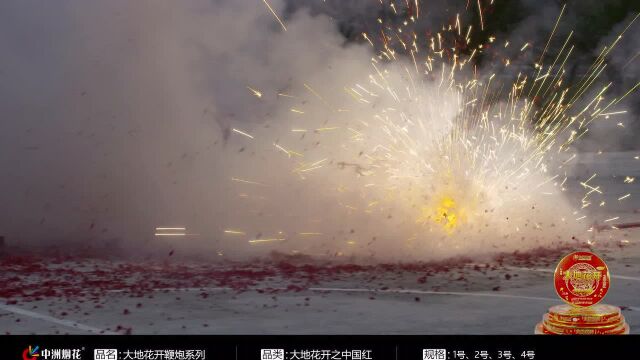 中洲烟花大地花开系列之中国红