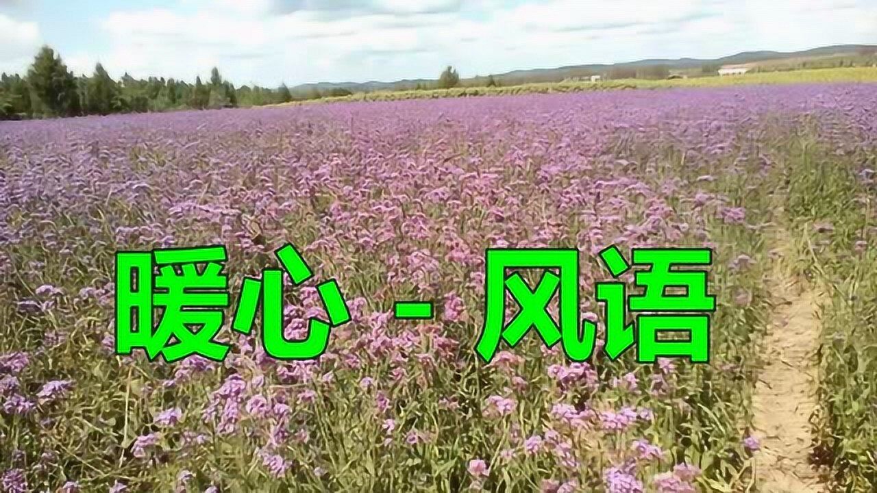 （暖心）风语：一首非常好听的歌曲_腾讯视频