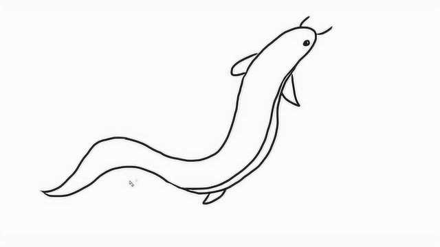 可爱的泥鳅幼儿亲子简笔画