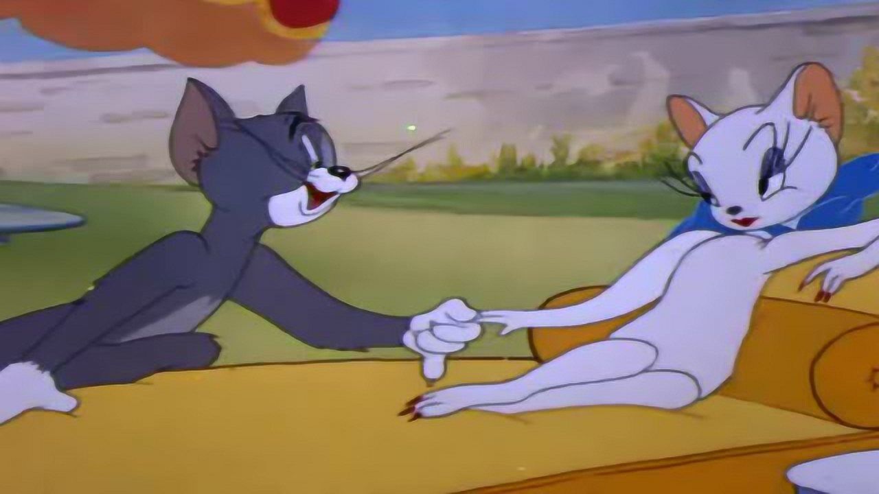 寻梦小仔猫和老鼠