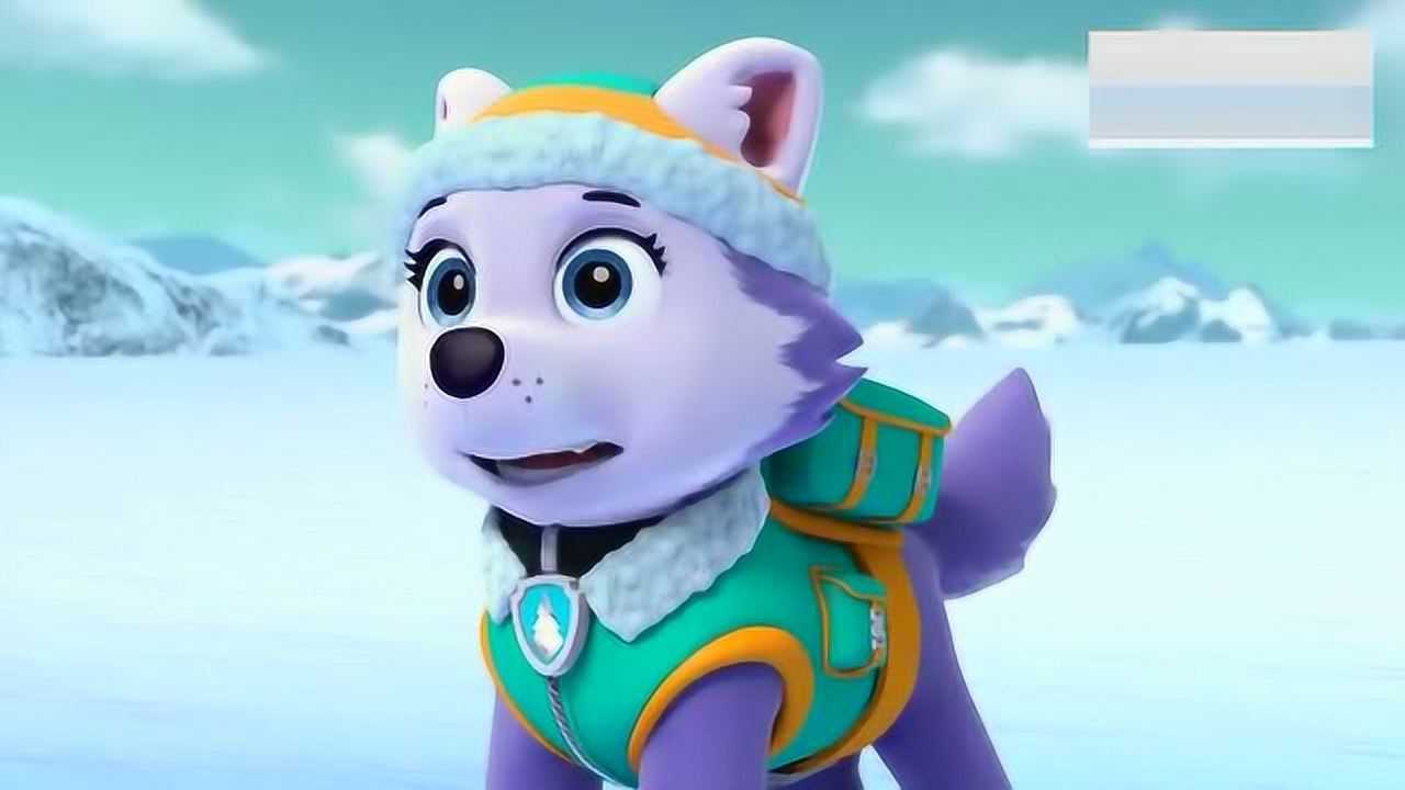 汪汪队:珠珠跟杰克来到南极看企鹅派对,杰克为企鹅搭浮桥