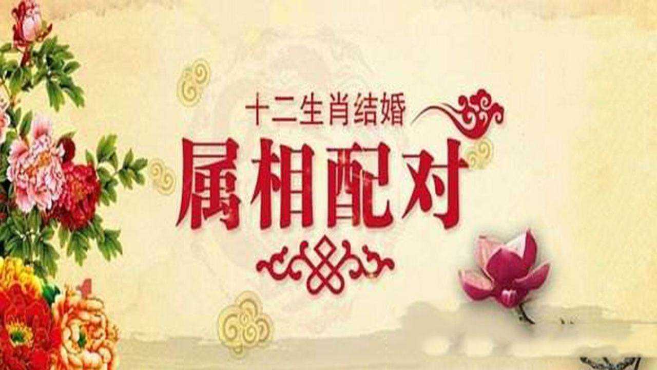 十二生肖婚配:属相合婚配对表腾讯视频}