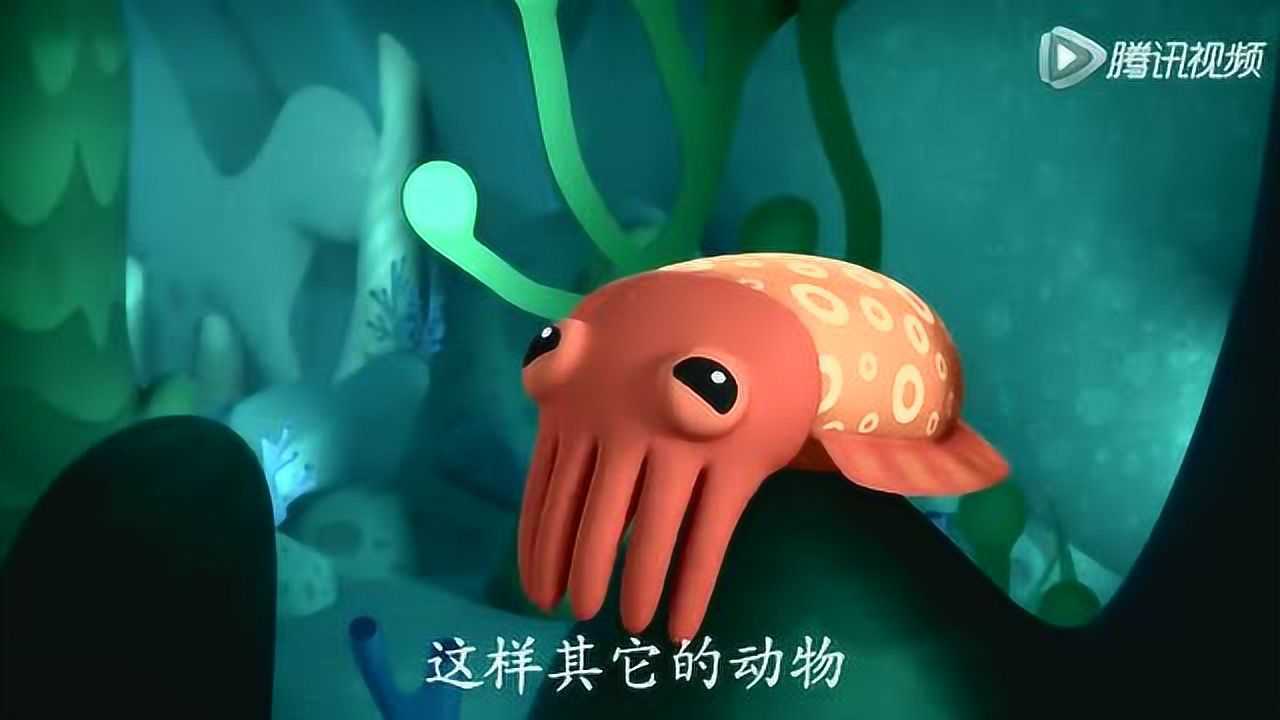 海底小纵队 灵巧的乌贼