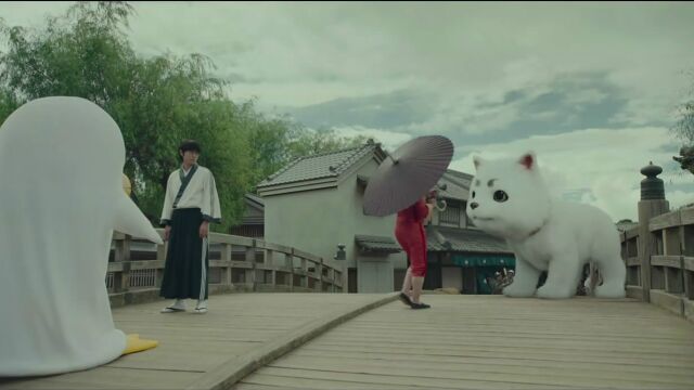 银魂真人版神乐这么可爱还是被定春抢镜了