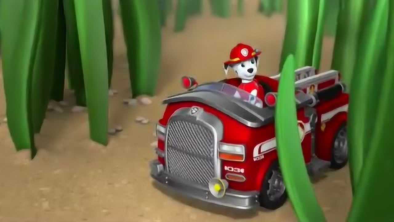 汪汪队:毛毛开着玩具消防车钻进草丛看不到,伙伴们只找到狗牌!