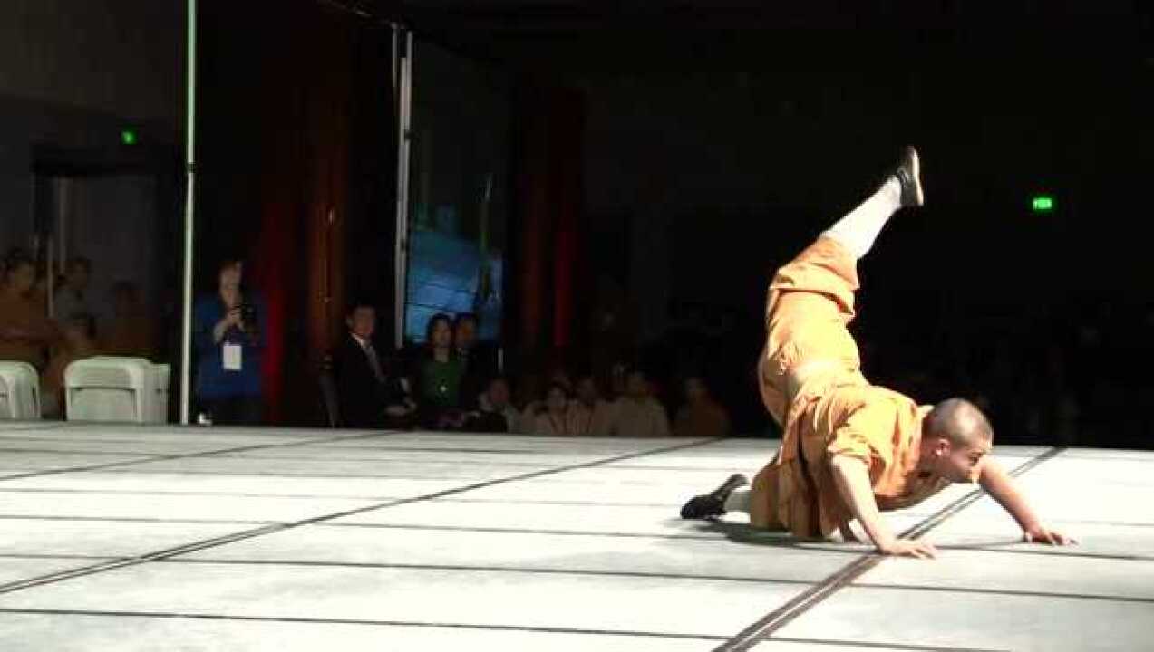 少林象形拳之蝎子