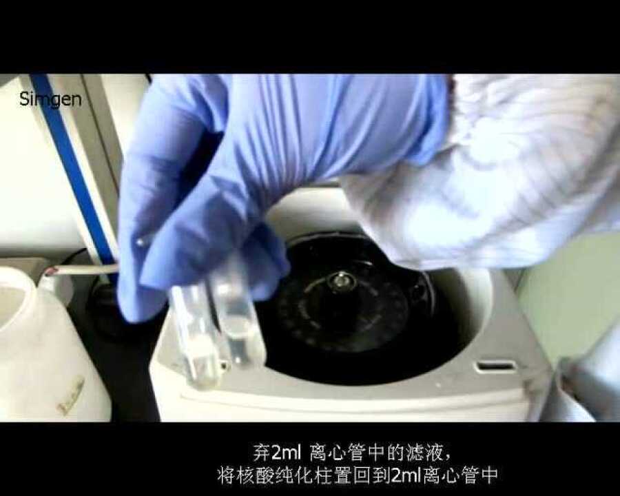 植物DNA提取实验_高清1080P在线观看平台_腾讯视频