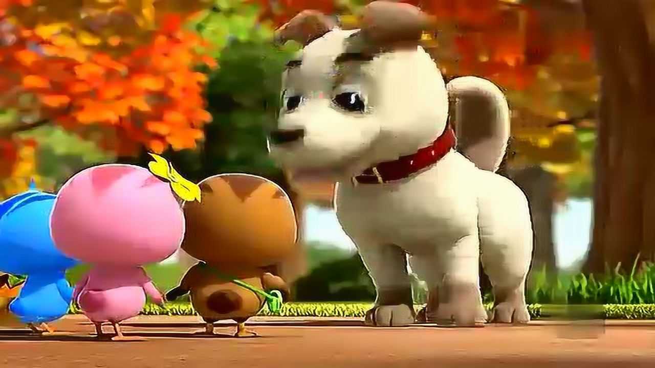 萌鸡小队小德不是一只敬业的狗萌鸡们偷柿子小德还要做朋友